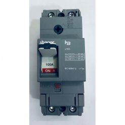 HHA099Z - MCCB 2P 100A 25KA - TM FIX/FIX