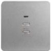WGD3USBIG - INTERSTELER GRAY - Ổ CẮM USB